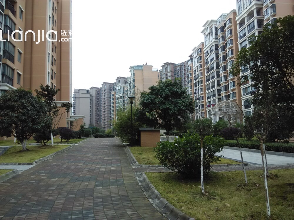 北江锦城相册